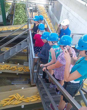 Del Monte manufacturing line